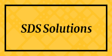 220x110 SDS Solutions.jpg