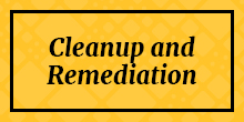 Clenaup and Remediation cover image.jpg